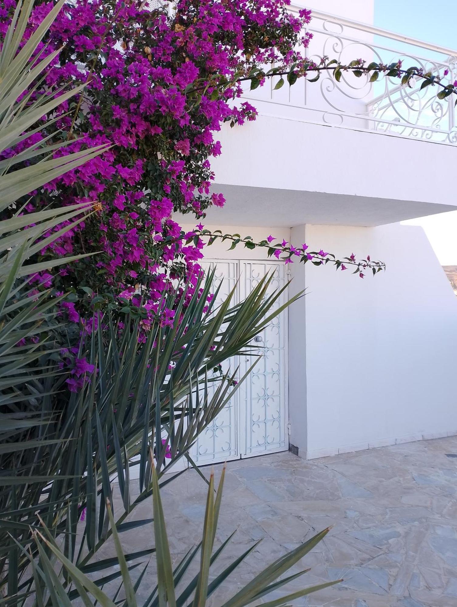 Dar Ettawfik Apartment Tataouine Luaran gambar